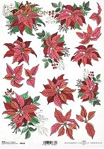 ��������� ������ ITD Collection - ������� ������� ������