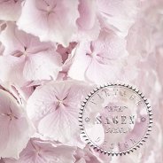 �������� �� ������� Sagen Vintage - ������ ��������