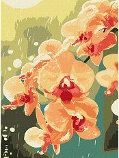 �������� �� ������ Ideyka - ������� � �����