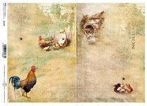 ��������� ������ ITD Collection - ����� �������