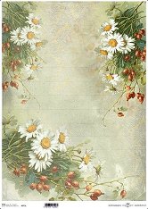��������� ������ ITD Collection - ����� � �����