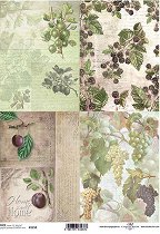 ��������� ������ ITD Collection - �������