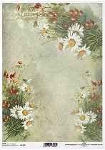 ��������� ������ ITD Collection - ����� � �����