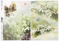 ��������� ������ ITD Collection - ��������