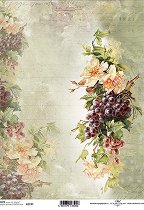 ��������� ������ ITD Collection - ���� � ������
