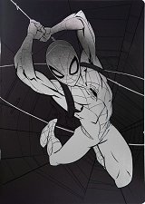 �������� � ������ ������ Spider-man - �������