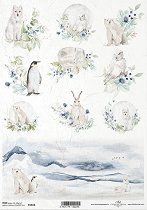 ��������� ������ ITD Collection - ���� �������