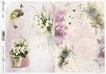 ��������� ������ ITD Collection - ��������