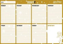     Harry Potter Dobby - 