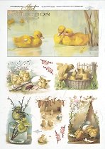 ��������� ������ ITD Collection - ������� � �������