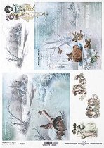 ��������� ������ ITD Collection - ����� �������