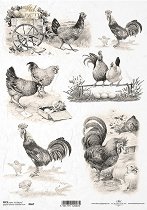 ��������� ������ ITD Collection - ����� � �������