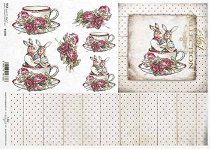 ��������� ������ ITD Collection - ����������� �����