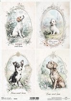 ��������� ������ ITD Collection - ������