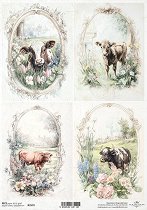 ��������� ������ ITD Collection - �����