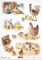 ��������� ������ ITD Collection - �������