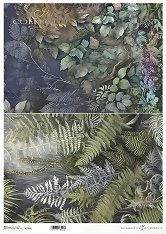 ��������� ������ ITD Collection - �����