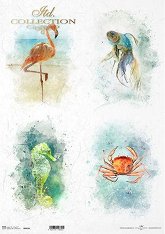 ��������� ������ ITD Collection - ������ �������