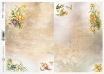 ��������� ������ ITD Collection - �������� �����