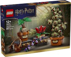 LEGO ���� ����� - �������� �� ���� �� ���������� � �������� - �������