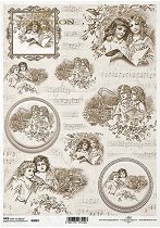 ��������� ������ ITD Collection - ������