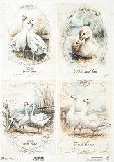 ��������� ������ ITD Collection - �����