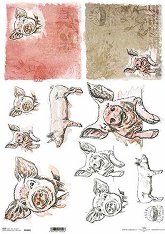��������� ������ ITD Collection - �������