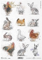 ��������� ������ ITD Collection - ��������� �������