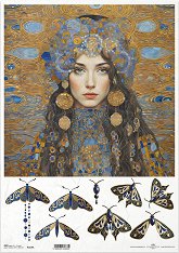 ��������� ������ ITD Collection - ������� � �� ���� ������