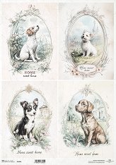 ��������� ������ ITD Collection - ������