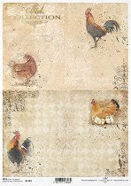 ��������� ������ ITD Collection - ������� � �����