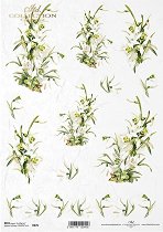 ��������� ������ ITD Collection - ��������