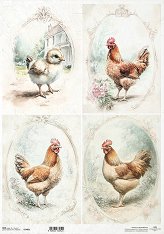 ��������� ������ ITD Collection - ���� � �������