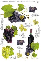 ��������� ������ ITD Collection - ������