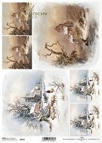 ��������� ������ ITD Collection - ����� �������