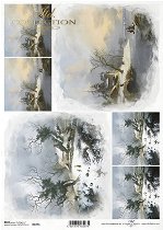 ��������� ������ ITD Collection - ����� �������