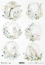 ��������� ������ ITD Collection - ������ �������