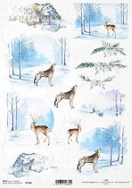 ��������� ������ ITD Collection - ����� ����
