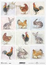 ��������� ������ ITD Collection - ������ �������
