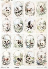 ��������� ������ ITD Collection - �������