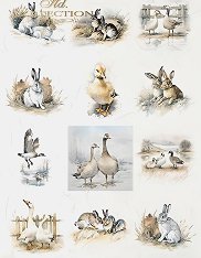 ��������� ������ ITD Collection - �������