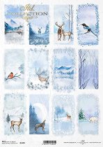 ��������� ������ ITD Collection - ����� �������