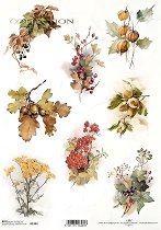 ��������� ������ ITD Collection - �����