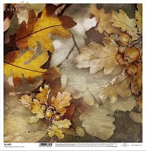 ������ �� ����������� ITD Collection - ������ �����
