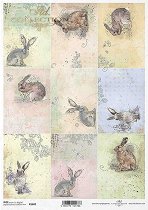 ��������� ������ ITD Collection - �����