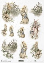 ��������� ������ ITD Collection - ����������� �������